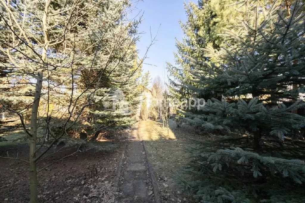 Продается дом в д. Проскурниково - Фото 2