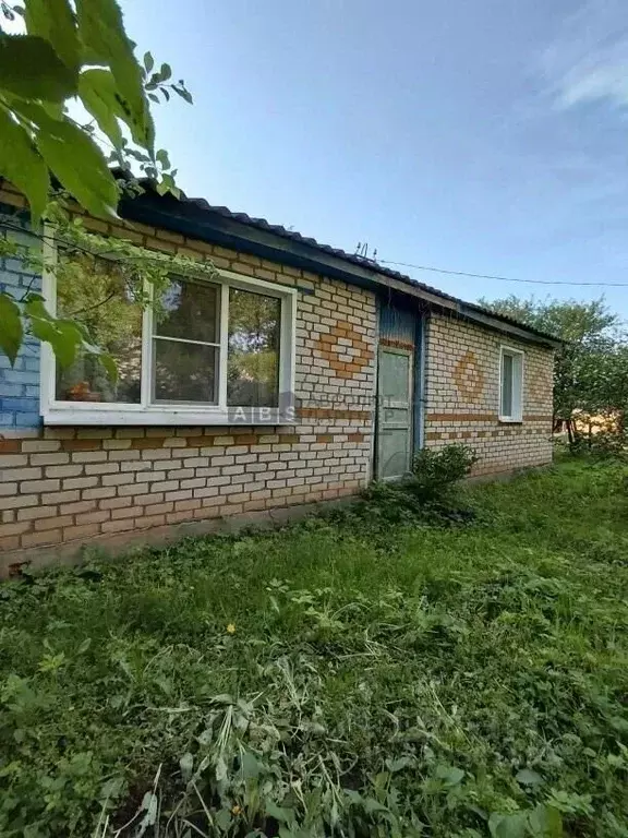 Дом в Новгородская область, Шимское городское поселение, д. Мшага ... - Фото 2