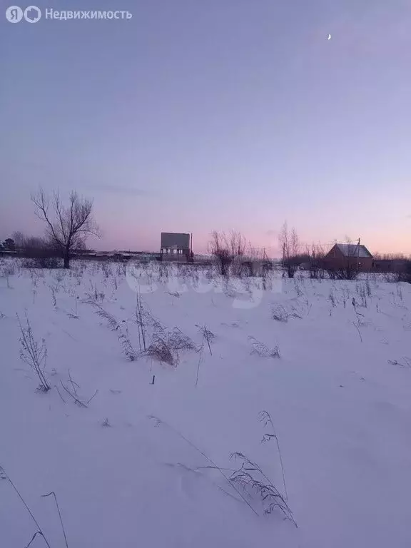 Участок в Омский район, посёлок Магистральный (15.45 м) - Фото 2