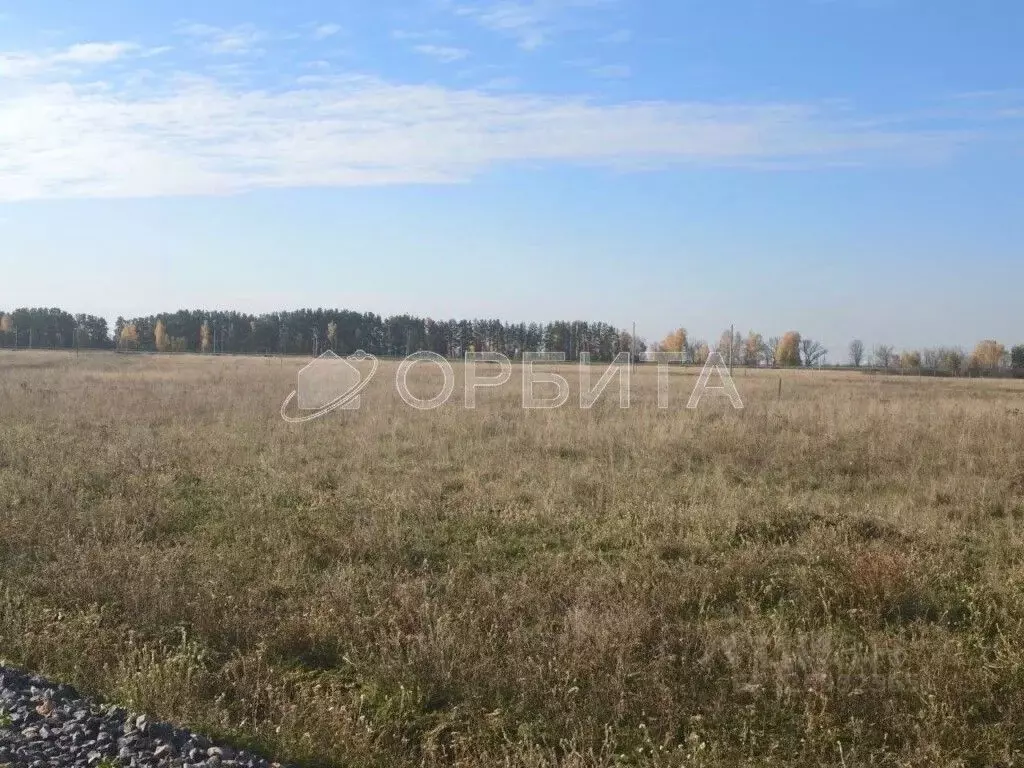 Участок в Тюменская область, Тюменский муниципальный округ, ... - Фото 1