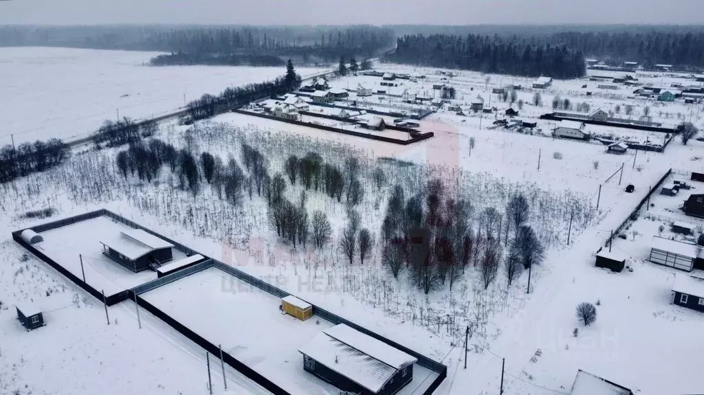 Участок в Ленинградская область, Волосовский район, д. Клопицы  (61.0 ... - Фото 2