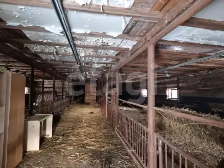 Склад в Ямало-Ненецкий АО, Новый Уренгой Территория Восточная ... - Фото 1