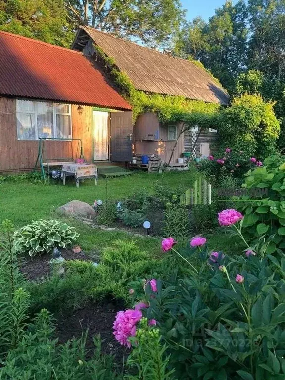 Дом в Новгородская область, Солецкий муниципальный округ, д. Выбити  ... - Фото 2