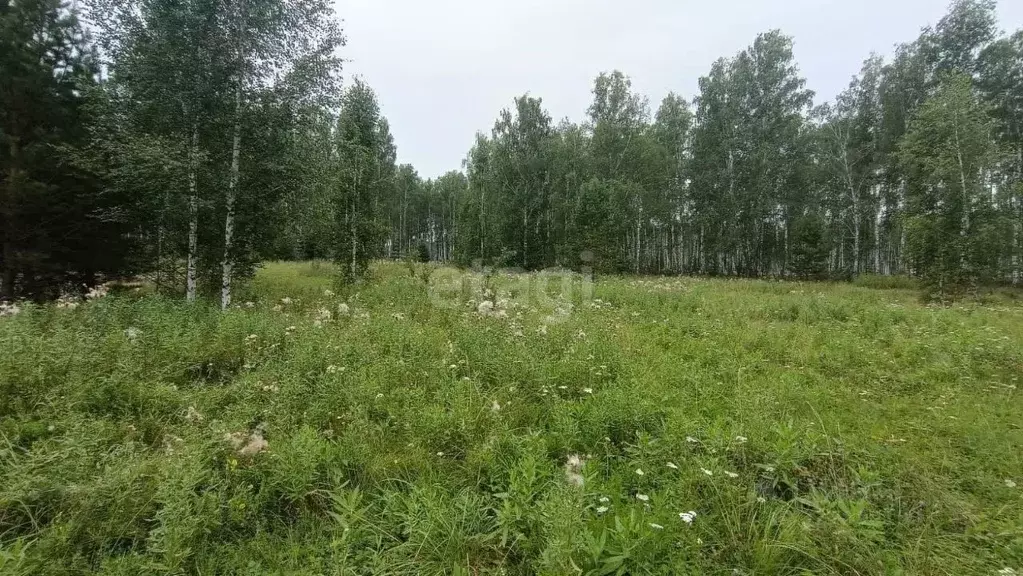 Участок в Свердловская область, Каменский муниципальный округ, с. ... - Фото 2