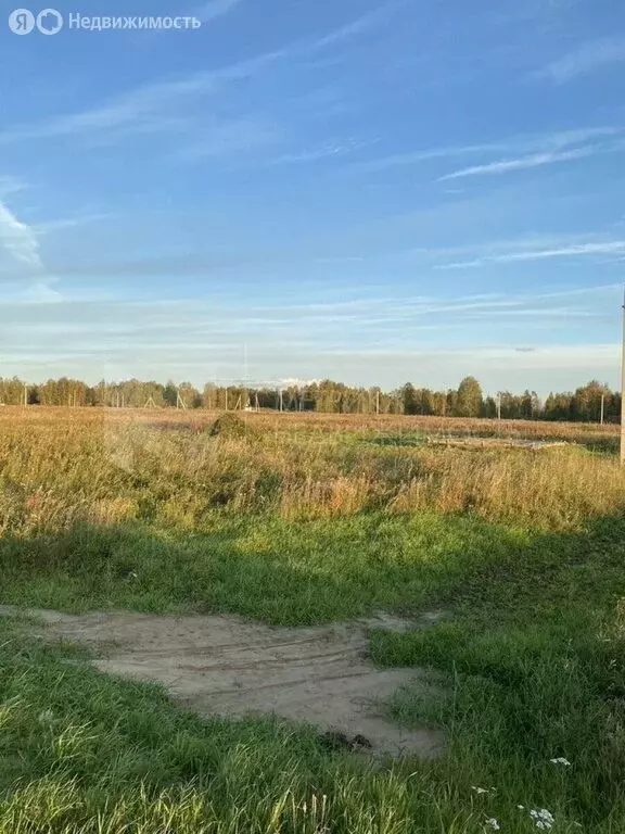 Участок в Тюменский муниципальный округ, село Аманадское (4 м) - Фото 2