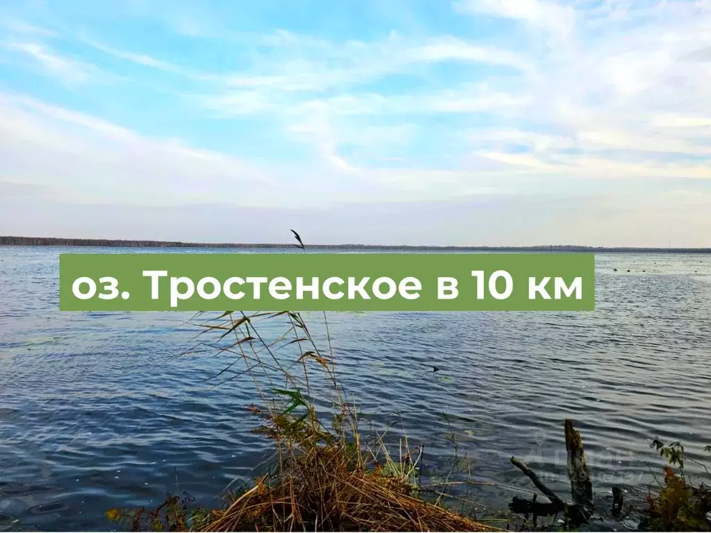 Участок в Московская область, Рузский муниципальный округ, д. Денисиха ... - Фото 1