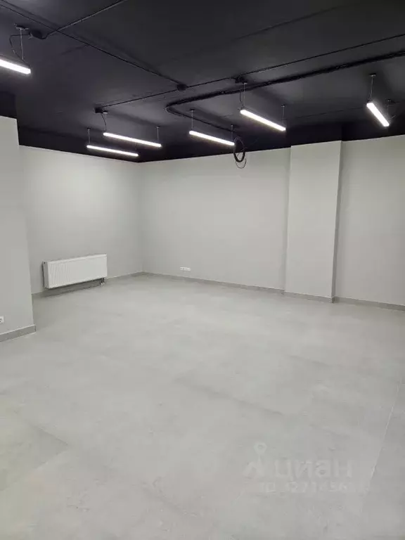 Офис в Новосибирская область, Новосибирск ул. Некрасова, 39 (57 м) - Фото 2