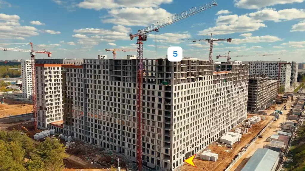 Помещение свободного назначения в Московская область, Мытищи Мытищи ... - Фото 0
