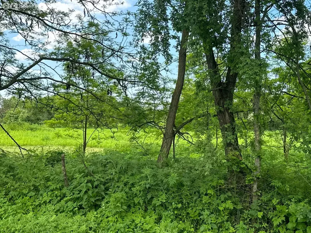 Участок в село Гизель, улица Коста Хетагурова, 36 (8 м) - Фото 0