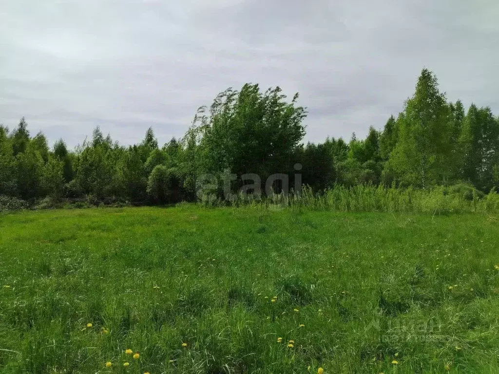 Участок в Вологодская область, Череповецкий район, Ирдоматское с/пос, ... - Фото 1