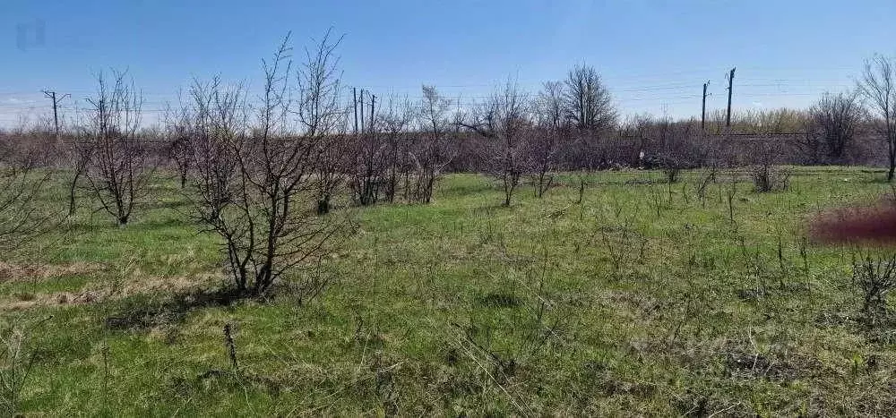 Участок в Самарская область, Самара с. Ясная Поляна, 10 (6.48 сот.) - Фото 1
