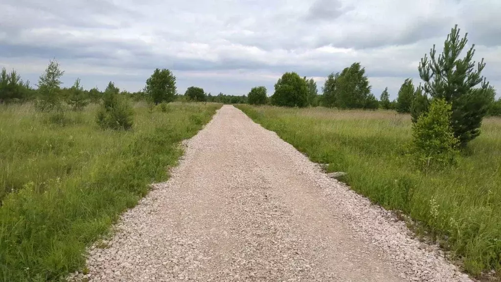 Участок в Тульская область, Ясногорский район, Иваньковское с/пос, ... - Фото 1