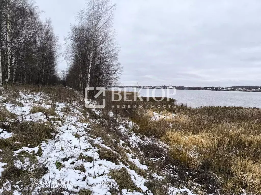 Участок в Ярославская область, Некрасовское с/пос, Волжская Дубрава кп ... - Фото 1