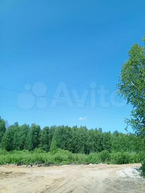 Участок 8,5 сот. (СНТ, ДНП) - Фото 1
