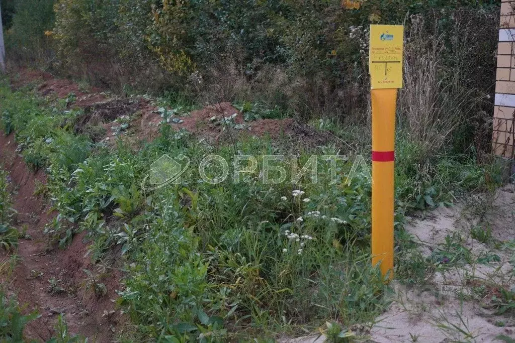 Участок в Тюменская область, Тюменский район, с. Перевалово ул. Уютная ... - Фото 2