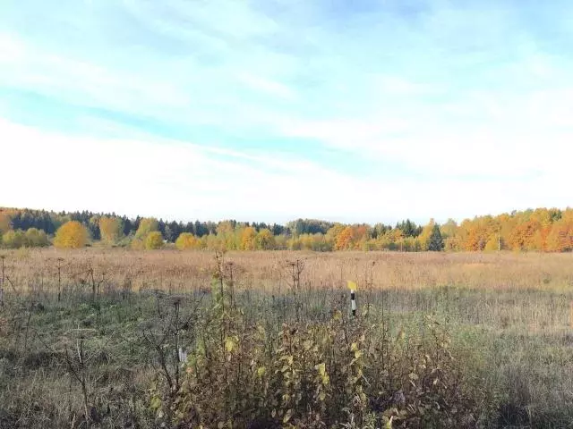 Продается участок в д. Вышнее - Фото 1