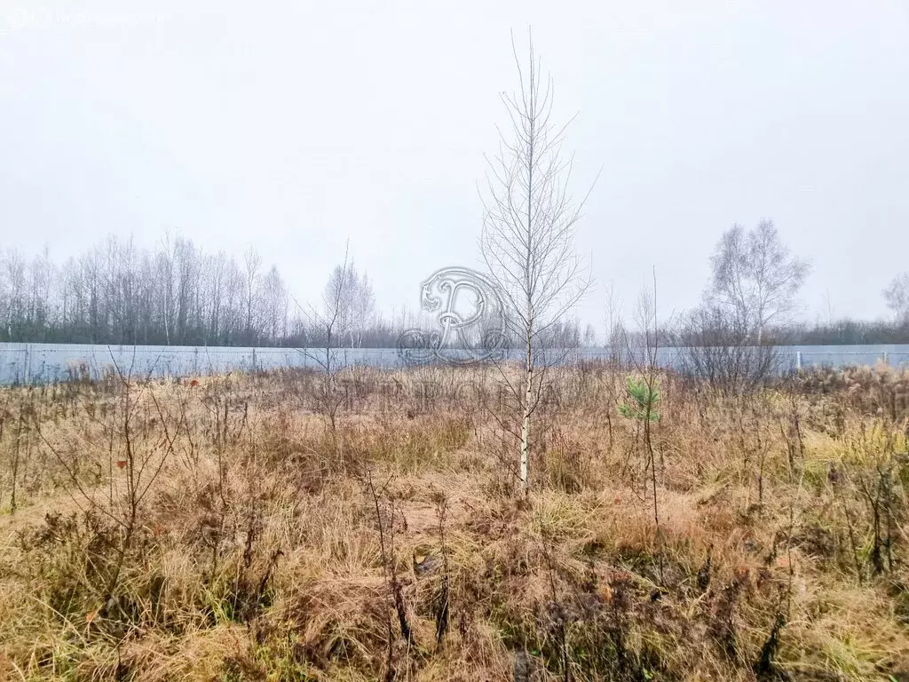 Участок в Богородский городской округ, деревня Следово (10 м) - Фото 1