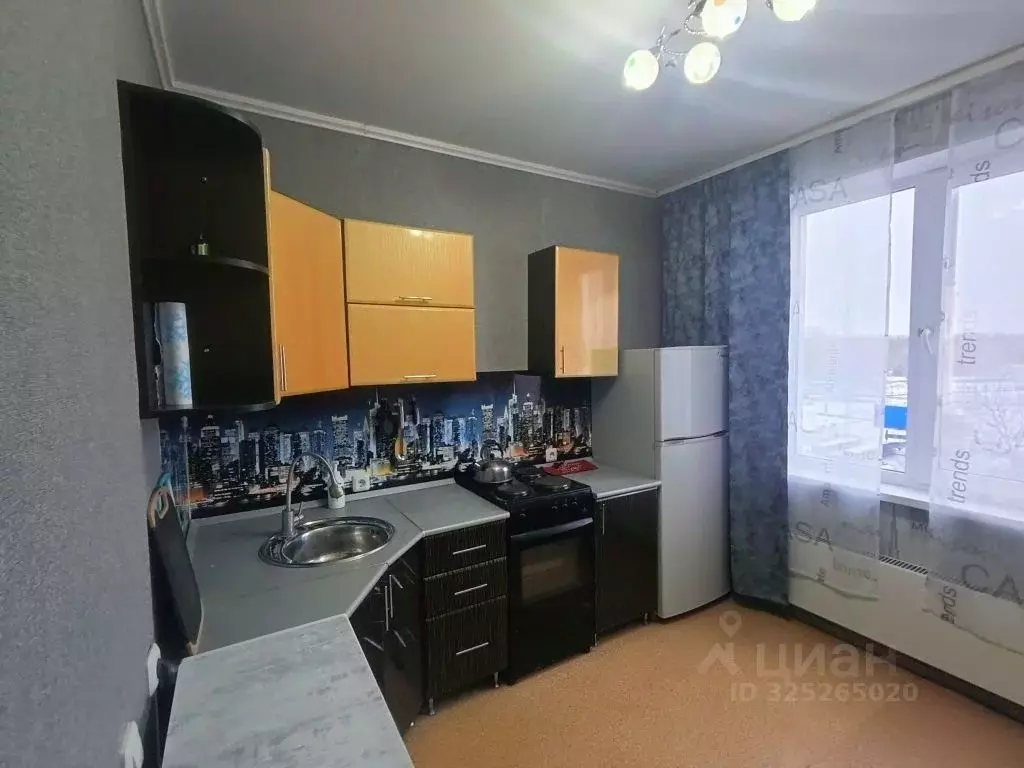 1-к кв. Нижегородская область, Дзержинск Прибрежная тер., наб. Окская, ... - Фото 2