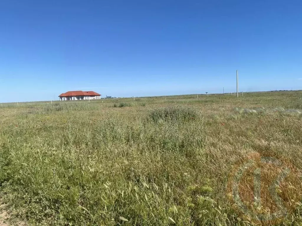 Участок в Крым, Сакский район, с. Молочное  (100.0 сот.) - Фото 2