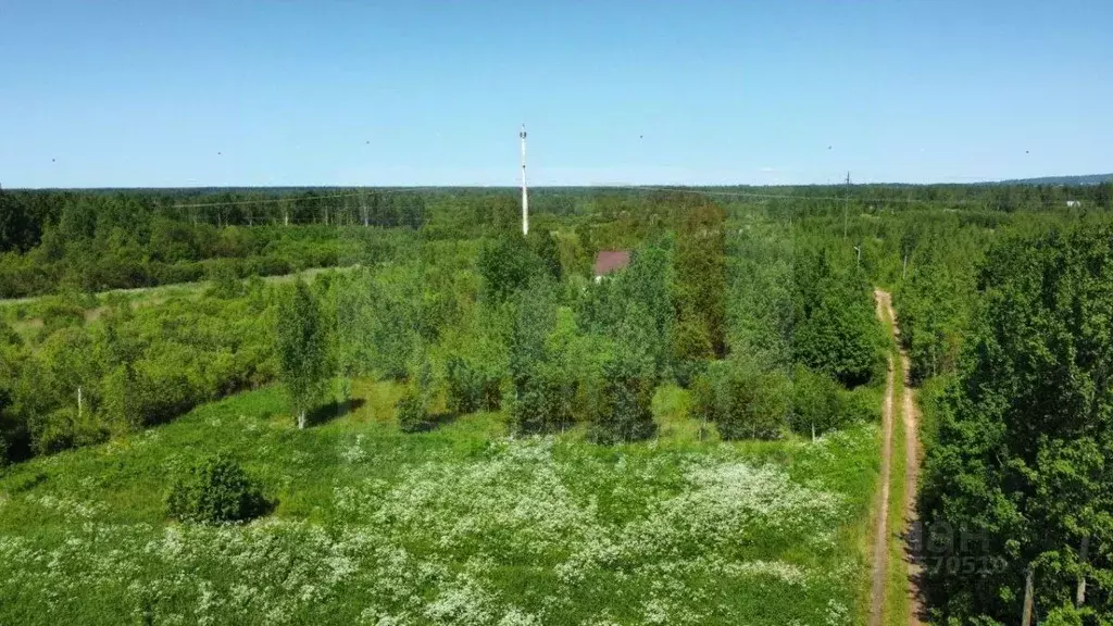 Участок в Ленинградская область, Гатчинский район, д. Малое Верево ... - Фото 1