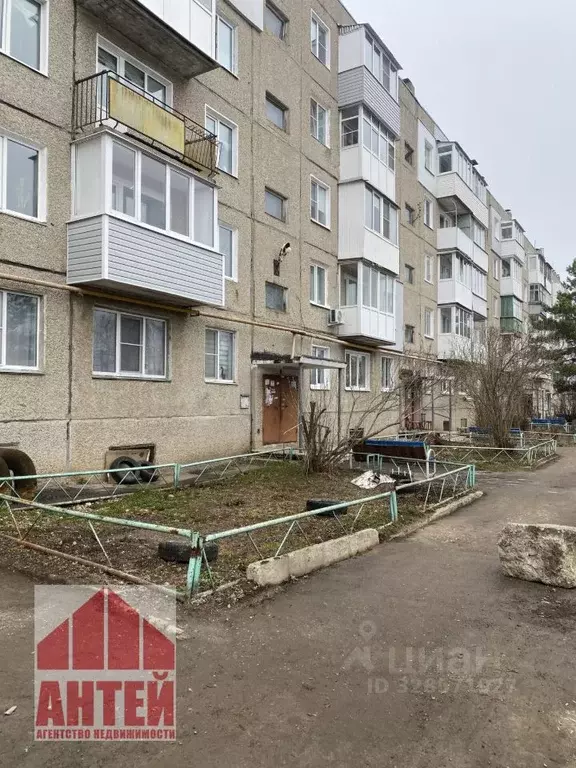 2-к кв. Нижегородская область, Павлово ул. Фаворского, 62 (42.0 м) - Фото 1