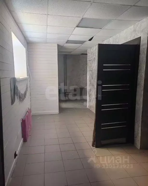 Помещение свободного назначения в Тульская область, Тула просп. ... - Фото 1