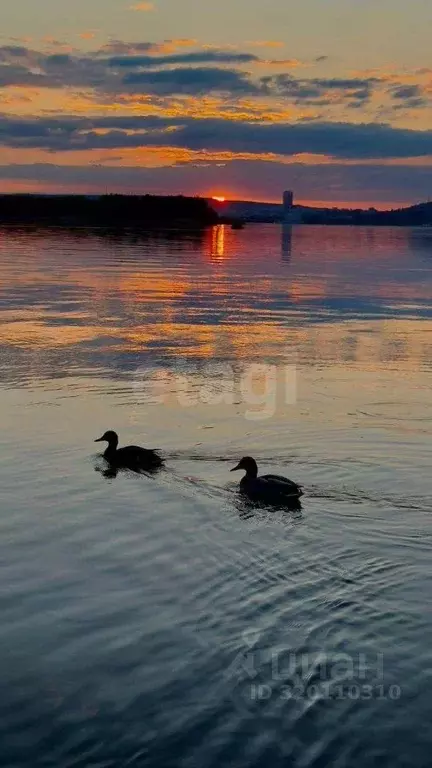 3-к кв. Саратовская область, Энгельс Пристанская ул., 85/1 (76.4 м) - Фото 2
