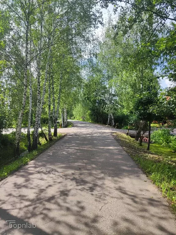 Продается участок в д. Кучино - Фото 2