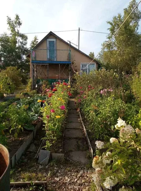 Дом в Черная Речка, СНТ Авангард (25 м) - Фото 1