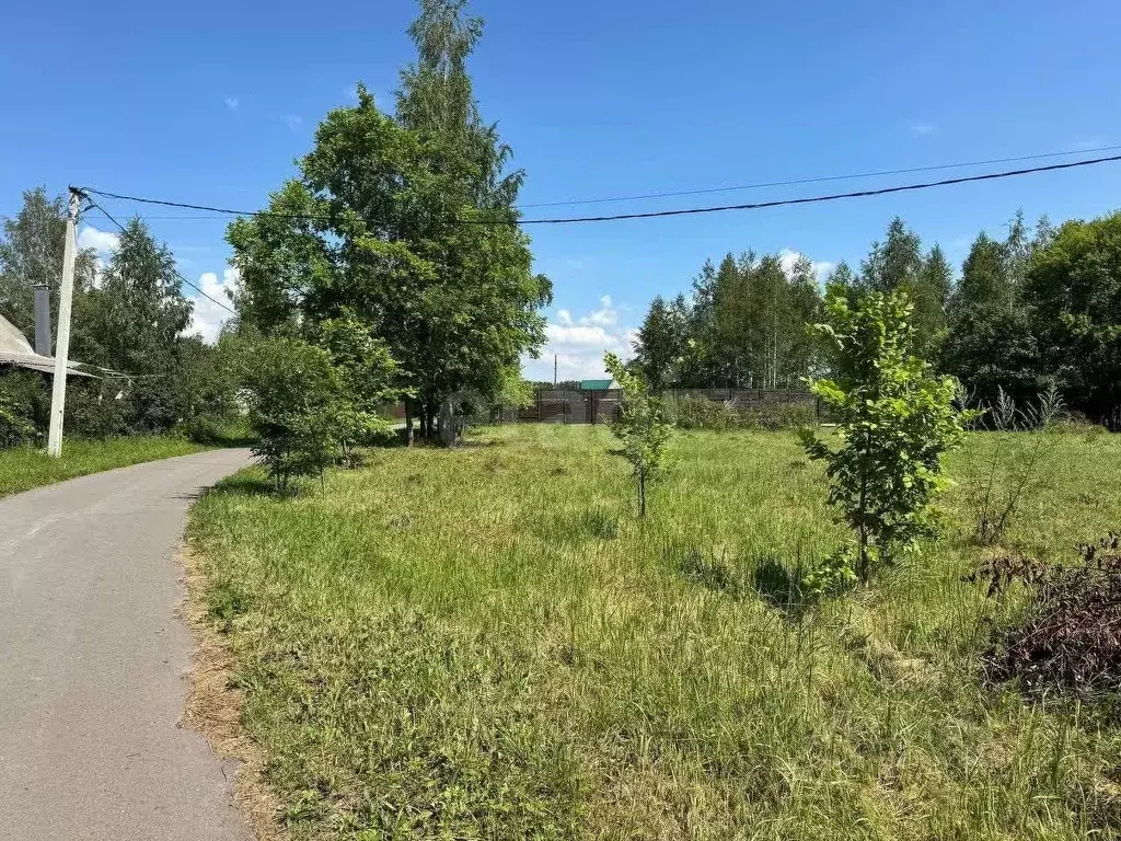 Участок в Воронежская область, Верхнехавский район, с. Малая ... - Фото 1