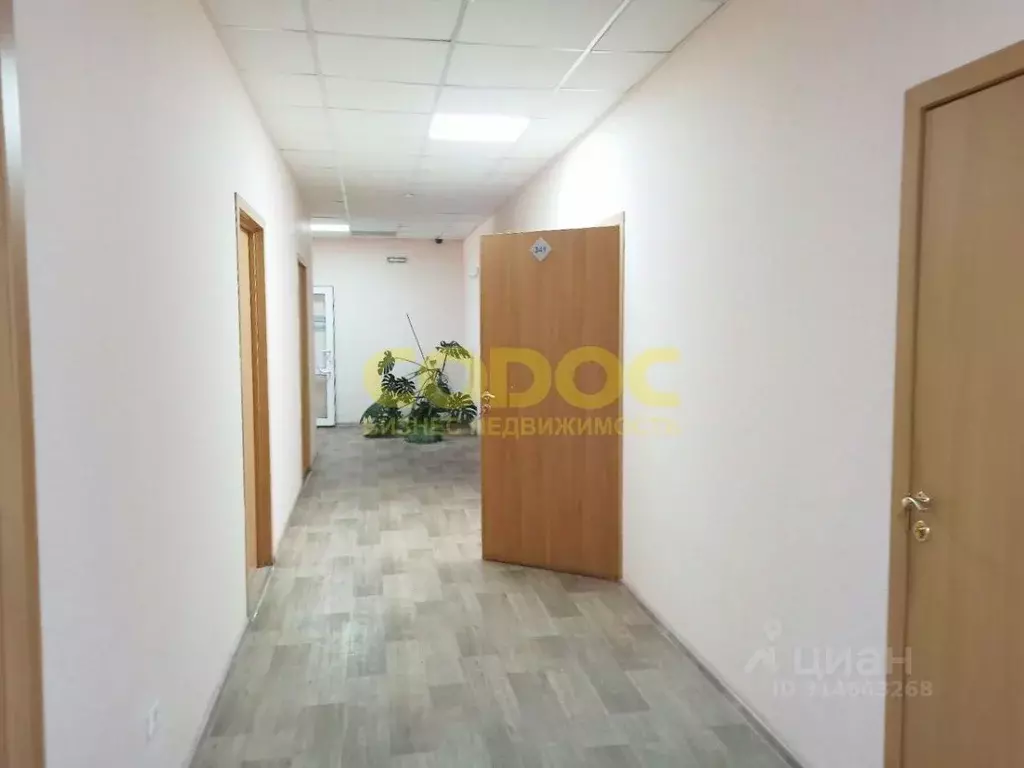 Офис в Омская область, Омск ул. Маяковского, 81 (32 м) - Фото 1