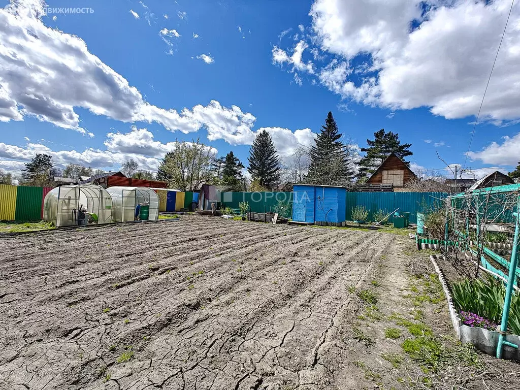 Участок в Новосибирск, СНТ Рассвет-Октябрьский, 42 (6.12 м) - Фото 1