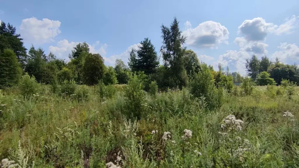 Участок в Новгородская область, Новгородский район, Бронницкое с/пос, ... - Фото 1