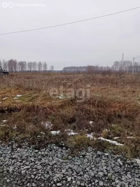 Участок в Омутинское, Степная улица (12.6 м) - Фото 1