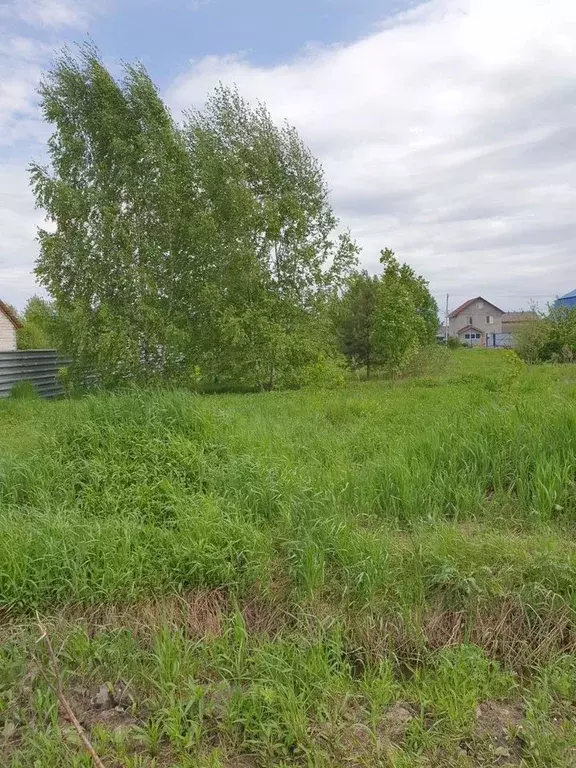 Участок в Московская область, Павлово-Посадский городской округ, д. ... - Фото 1