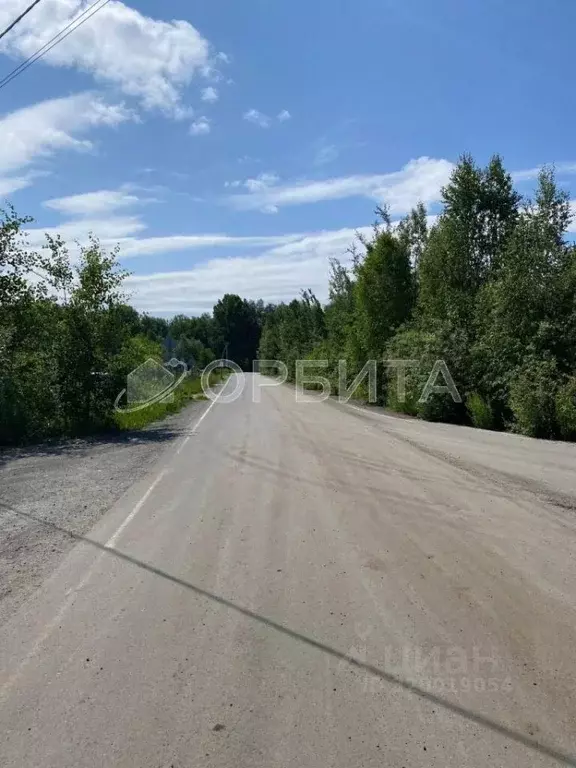 Участок в Тюменская область, Нижнетавдинский район, д. Штакульская  ... - Фото 1