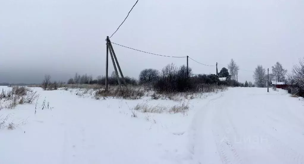 Участок в Кировская область, Кирово-Чепецкий район, д. Дресвяново ... - Фото 1