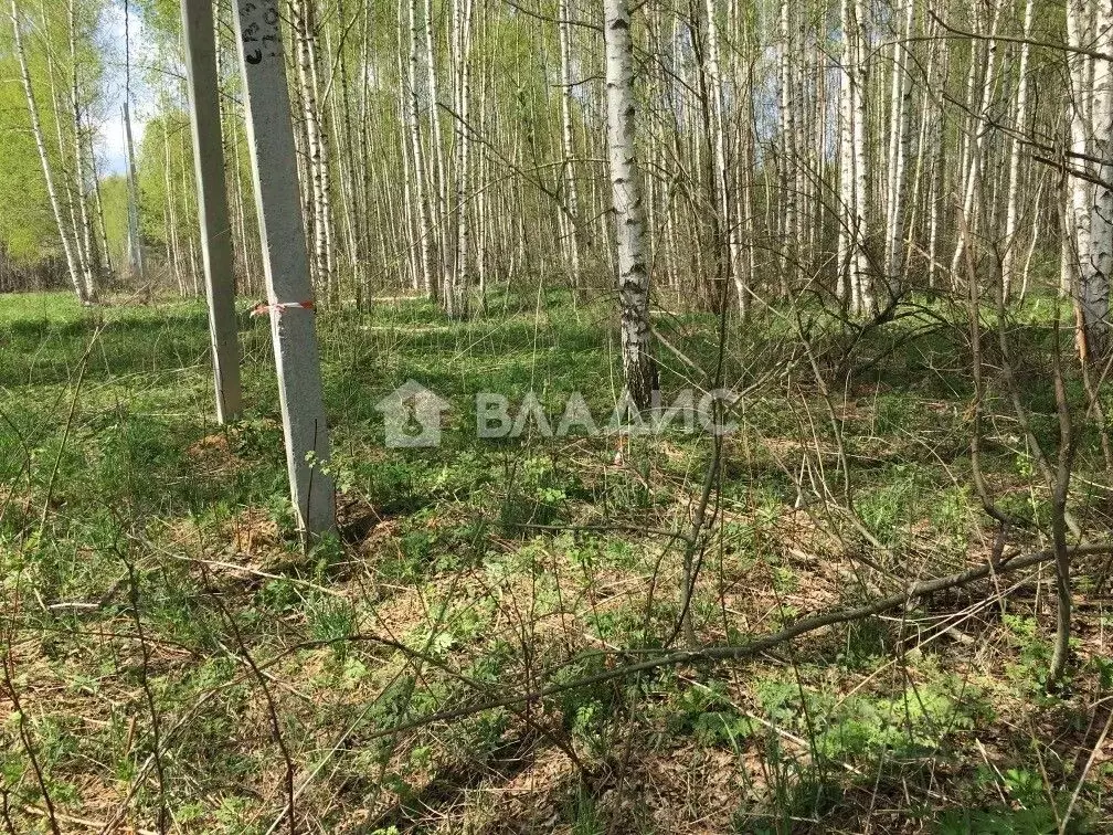 Участок в Владимирская область, Владимир Миловка СТ,  (30.0 сот.) - Фото 0