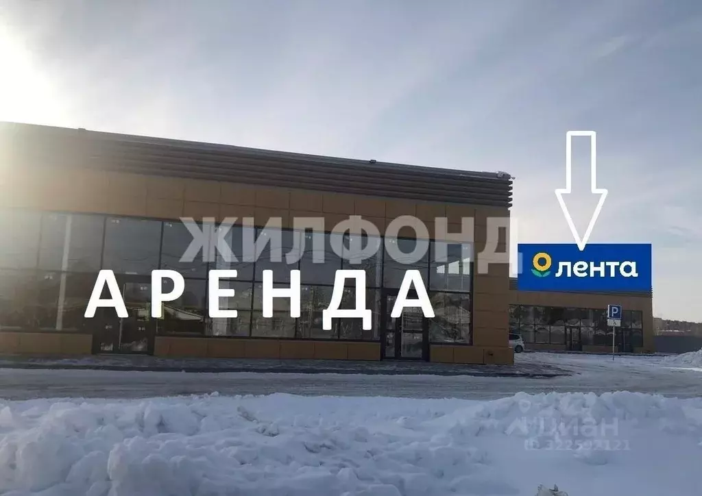 Торговая площадь в Новосибирская область, с. Новолуговое ул. Андреева, ... - Фото 1