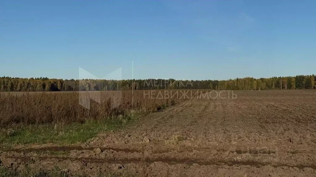 Участок в Тюменская область, Тюменский муниципальный округ, с. Каменка ... - Фото 2