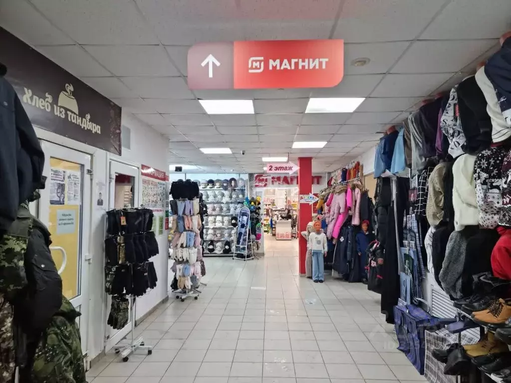 Торговая площадь в Ямало-Ненецкий АО, Тарко-Сале Пуровский район, ... - Фото 2