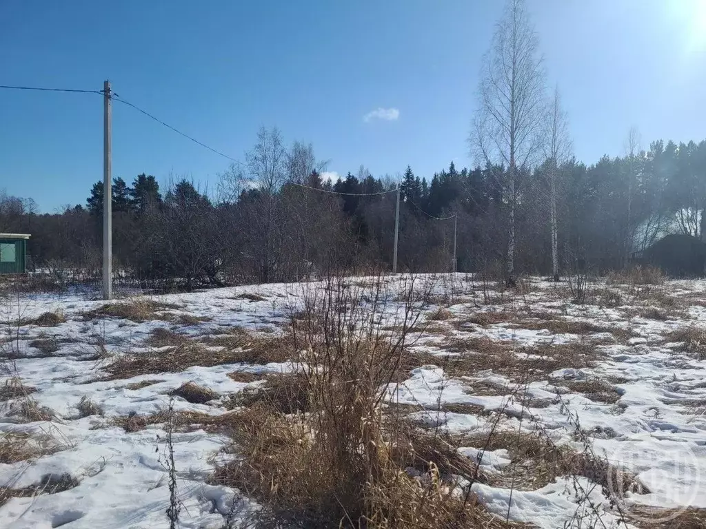 Участок в Ленинградская область, Ломоносовский район, Лебяженское ... - Фото 2