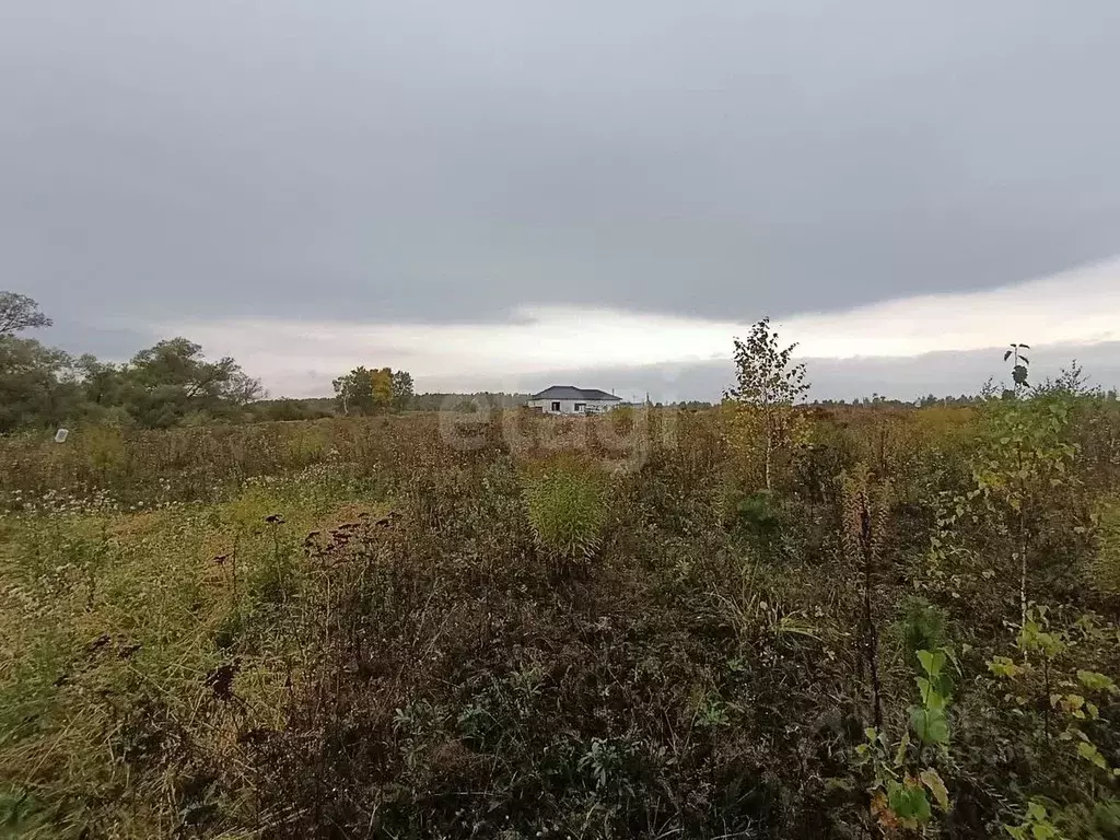 Участок в Калужская область, Бабынинский муниципальный округ, ... - Фото 2