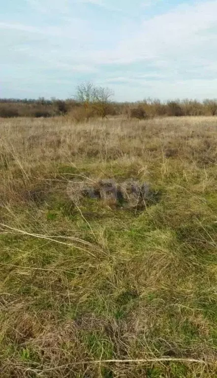 Участок в Краснодарский край, Темрюк Радуга СНТ, ул. Бирюзовая (4.0 ... - Фото 2