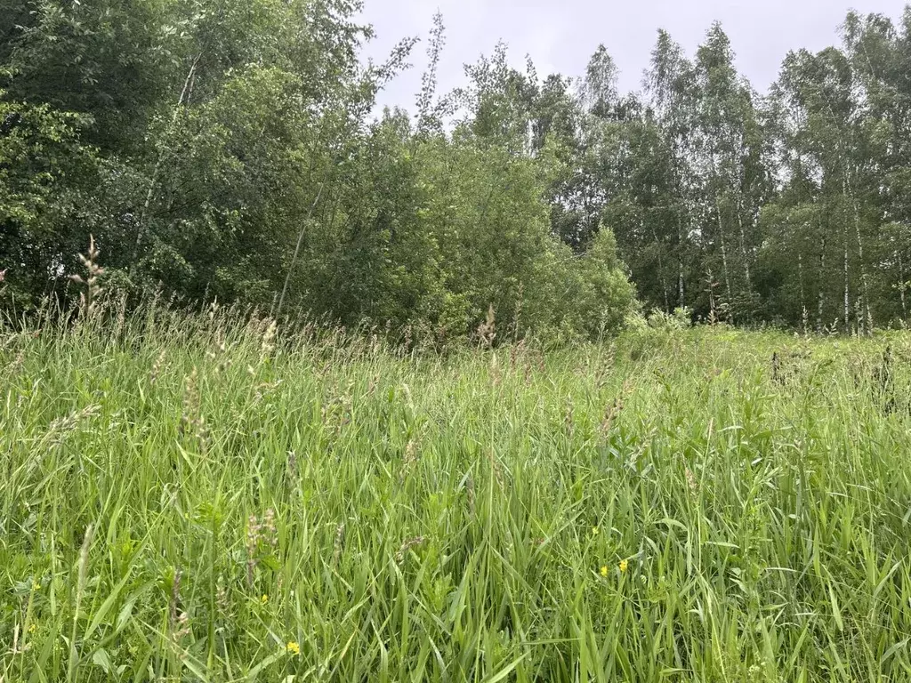 Участок в Московская область, Сергиево-Посадский городской округ, ... - Фото 0