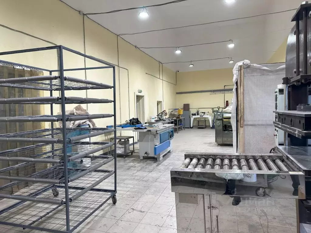 Производственное помещение в Московская область, Рузский муниципальный ... - Фото 2