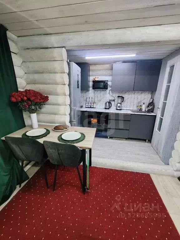 Дом в Алтайский край, Алтайский район, Айский сельсовет, с. Ая ул. ... - Фото 2