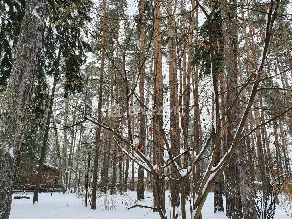 Участок в Московская область, Раменский муниципальный округ, Кратово ... - Фото 1
