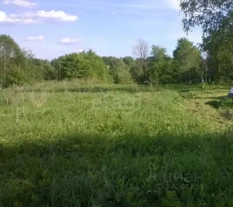 Участок в Калужская область, Жуковский муниципальный округ, Трубино ... - Фото 1