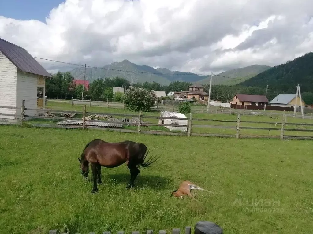 Купить Дом На Алтае Чемальский Район